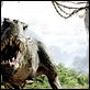 King Kong