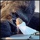 King Kong