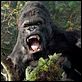 King Kong