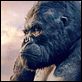 King Kong