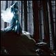 Corpse Bride : photo Tim Burton