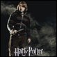 Harry Potter und der Feuerkelch : poster Mike Newell, Rupert Grint