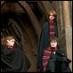 Harry Potter und der Feuerkelch : photo Daniel Radcliffe, Emma Watson, Mike Newell, Rupert Grint