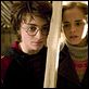 Harry Potter und der Feuerkelch : photo Daniel Radcliffe, Emma Watson, Mike Newell