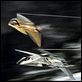 Stealth - Unter dem Radar