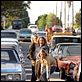 Dogtown Boys : photo Catherine Hardwicke, Emile Hirsch, John Robinson, Victor Rasuk