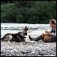 Wolfsblut : photo Ethan Hawke, Randal Kleiser
