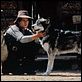Wolfsblut : photo Ethan Hawke, Randal Kleiser