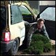 Dick und Jane : photo Dean Parisot, Jim Carrey
