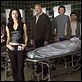 Crossing Jordan - Pathologin mit Profil : photo Jill Hennessy, Kathryn Hahn, Ken Howard, Mahershalalhashbaz Ali, Miguel Ferrer