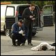 CSI: Den Tätern auf der Spur