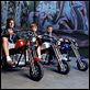 Two And A Half Men