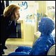 Akte X - Die unheimlichen Fälle des FBI : photo Gillian Anderson
