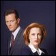 Akte X - Die unheimlichen Fälle des FBI : photo Gillian Anderson, Robert Patrick