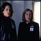 Akte X - Die unheimlichen Fälle des FBI : photo Annabeth Gish, Gillian Anderson