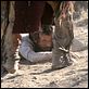 Deadwood : photo Timothy Olyphant