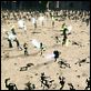 Star Wars: Episode II - Angriff der Klonkrieger : photo George Lucas