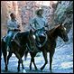 Three Burials - Die drei Begräbnisse des Melquiades Estrada : photo Barry Pepper, Tommy Lee Jones