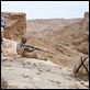 Star Wars: Episode I - Die dunkle Bedrohung : photo Ewan McGregor, George Lucas