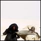 Star Wars: Episode I - Die dunkle Bedrohung : photo George Lucas