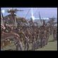 Star Wars: Episode I - Die dunkle Bedrohung : photo Ewan McGregor, George Lucas