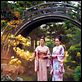 Die Geisha