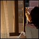 photo Hong Sang-soo
