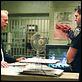 16 Blocks : photo Bruce Willis, Richard Donner