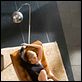 Basic Instinct - Neues Spiel für Catherine Tramell : photo Michael Caton-Jones, Sharon Stone
