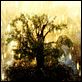 The Fountain : photo Darren Aronofsky