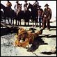 Der Mann aus Laramie : photo Anthony Mann, James Stewart