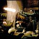 Blade 2 : photo Guillermo del Toro, Wesley Snipes