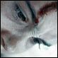 Hard Candy : photo David Slade, Ellen Page