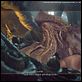 Pirates of the Caribbean - Fluch der Karibik 2 : photo Bill Nighy, Gore Verbinski