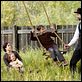 Die Ermordung des Jesse James durch den Feigling Robert Ford : photo Andrew Dominik, Brad Pitt, Mary-Louise Parker