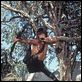 Rambo II