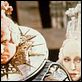 Die Abenteuer des Baron Münchhausen : photo Terry Gilliam