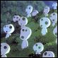 Prinzessin Mononoke : photo Hayao Miyazaki