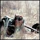 Geboren am 4. Juli : photo Oliver Stone, Tom Cruise