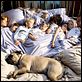 Deine, meine und unsere : photo Raja Gosnell