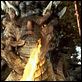 Dragonheart : photo Dennis Quaid, Dina Meyer, Rob Cohen