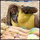 Big Mama's Haus 2 : photo John Whitesell, Martin Lawrence