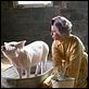 Schweinchen Wilbur und seine Freunde : photo Dakota Fanning, Gary Winick