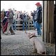 Schweinchen Wilbur und seine Freunde : photo Dakota Fanning, Gary Winick