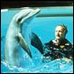 Der Tag des Delphins : photo Mike Nichols