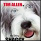 The Shaggy Dog : poster Brian Robbins, Tim Allen