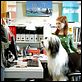 The Shaggy Dog : photo Brian Robbins, Kristin Davis, Spencer Breslin, Zena Grey