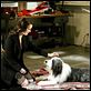 The Shaggy Dog : photo Brian Robbins, Kristin Davis
