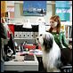 The Shaggy Dog : photo Brian Robbins, Kristin Davis, Spencer Breslin, Zena Grey