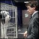 The Shaggy Dog : photo Bess Wohl, Brian Robbins, Robert Downey Jr.